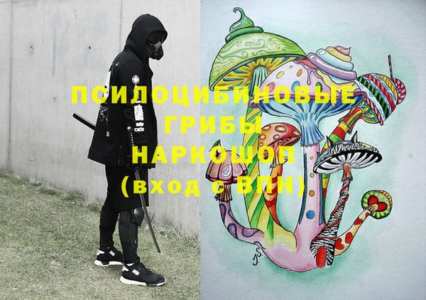 дживик Няндома
