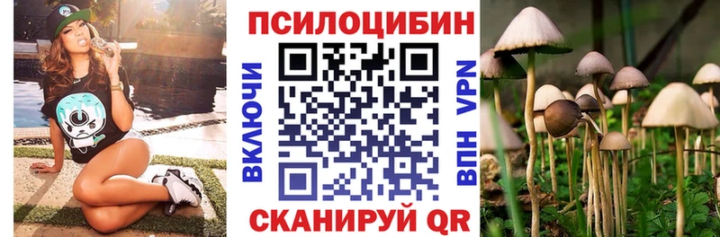 Псилоцибиновые грибы Cubensis  Алатырь 